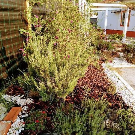 Moita Cottage Exterior photo
