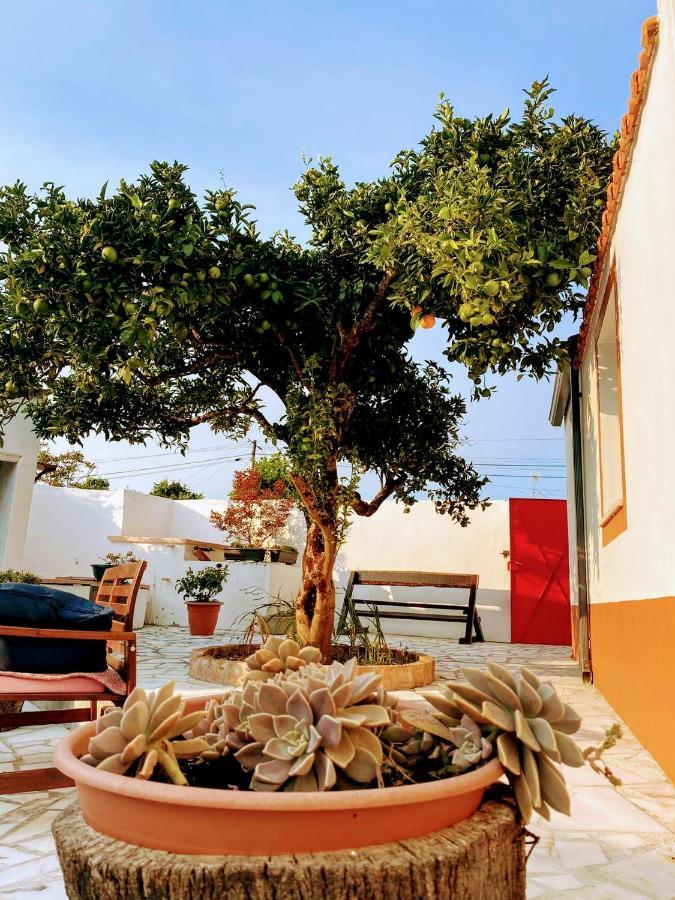 Holiday home Moita Moita (Leiria)