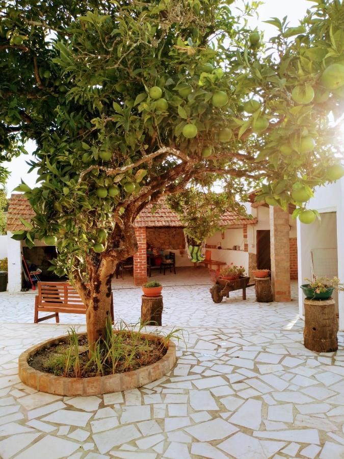 Moita Holiday home Moita (Leiria)